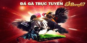 gasv388 truc tuyen.jpg