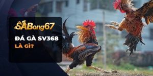 sv368 trai nghiem.jpg